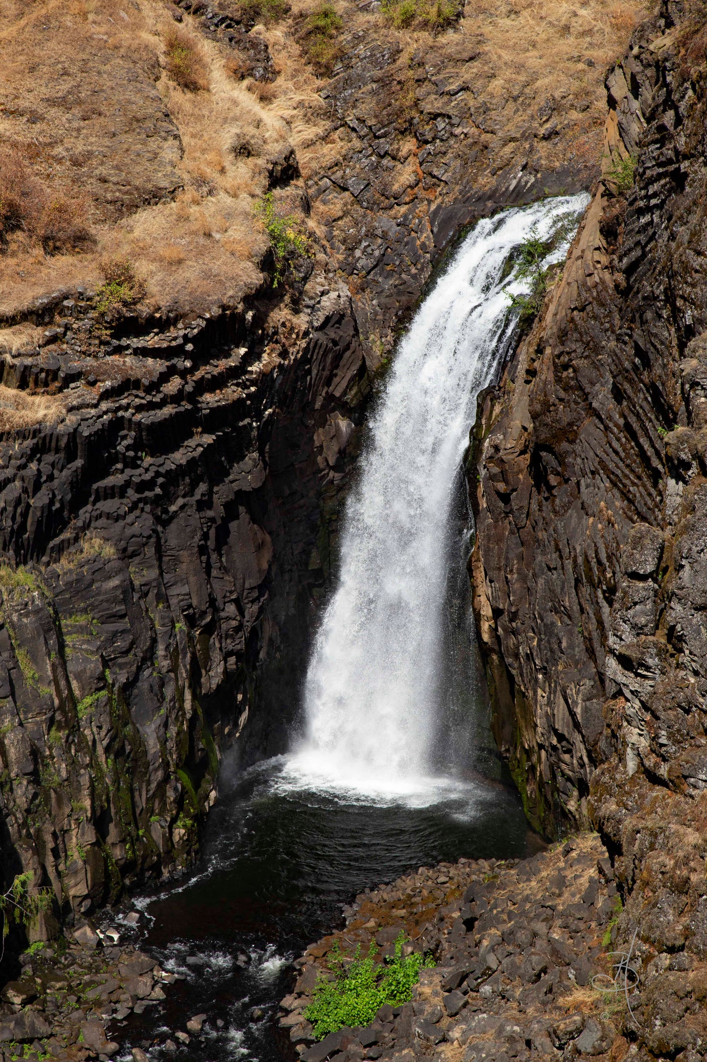 Elk River Falls (0746)