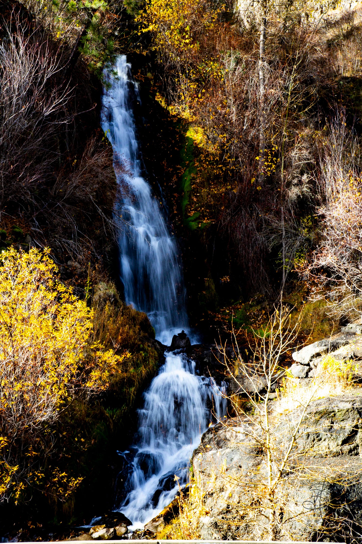 Mountain Tears (1646)