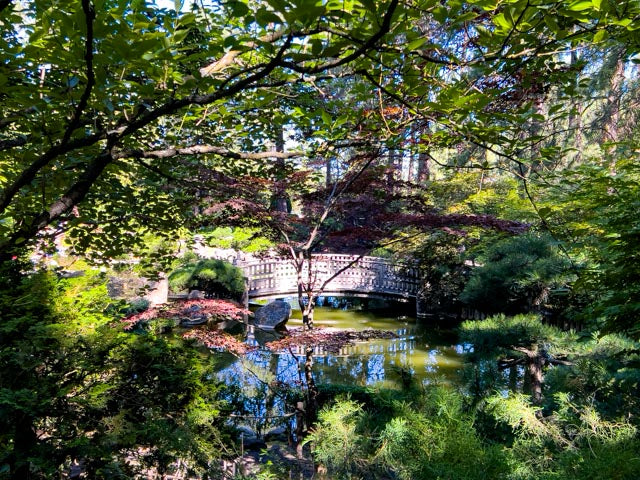 Manito Park (5378)