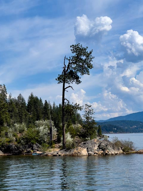 CDA Lake (8441)