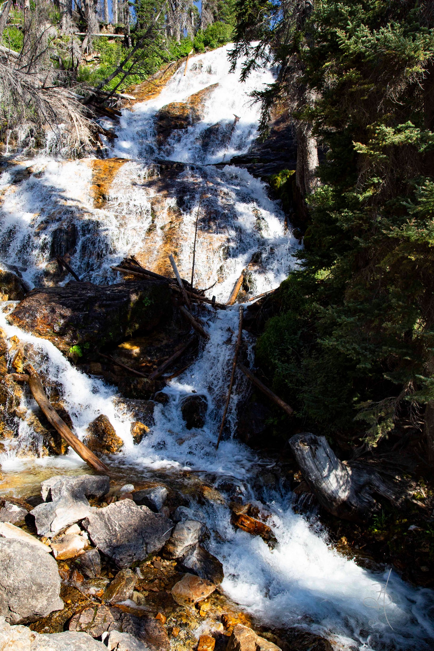 Montana Secret #2 (8527)