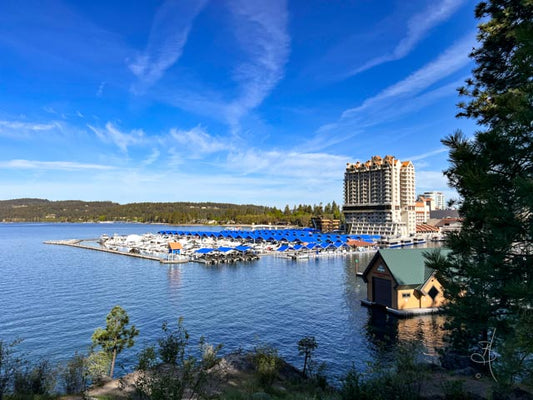 CDA Lake (0355)