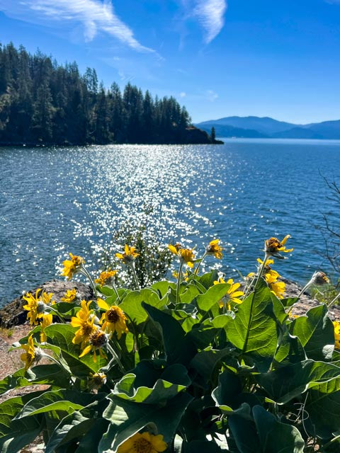 CDA Lake (0393)