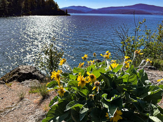CDA Lake (0396)
