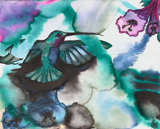 Hummingbird world (0947-on Canvas)