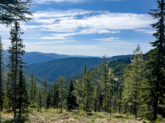 Kellogg (3209)