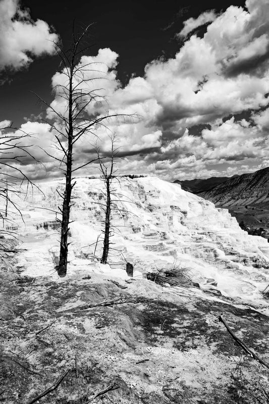 Yellowstone Ridge II (4062-2)