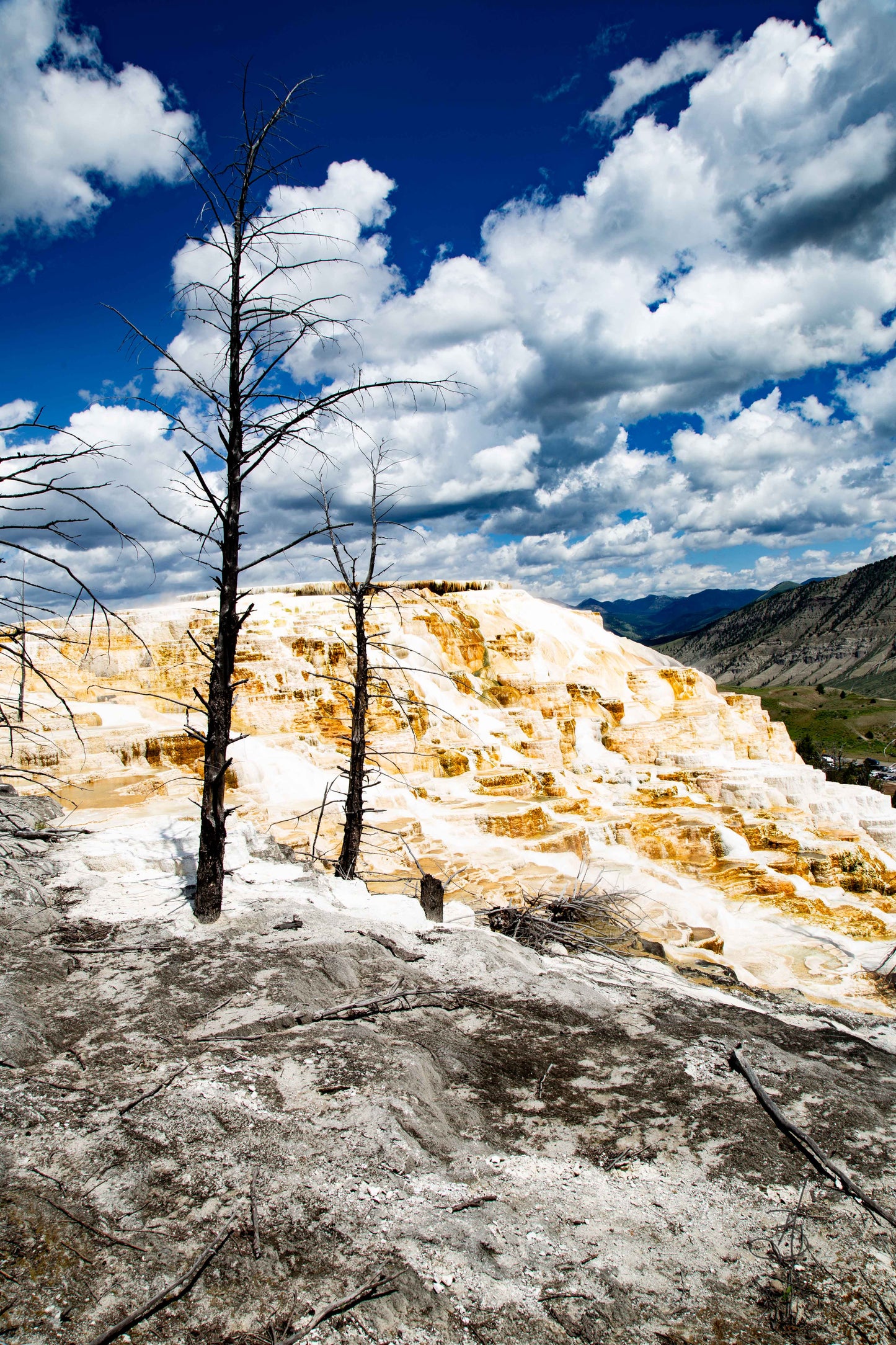 Yellowstone Ridge I (4062)