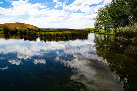 Peaceful Pond I (4703)