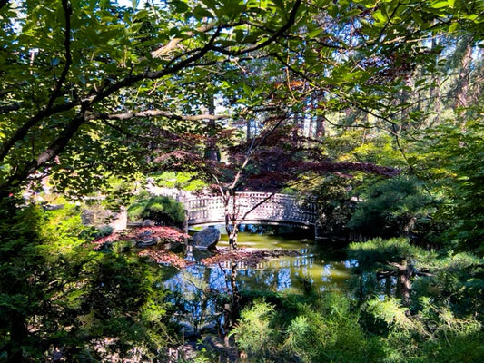 Manito Park (5378)