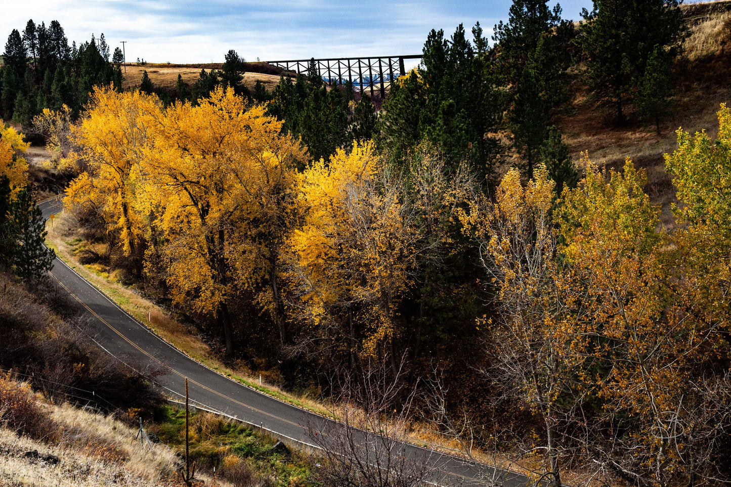 Trestle Bridge (8075)