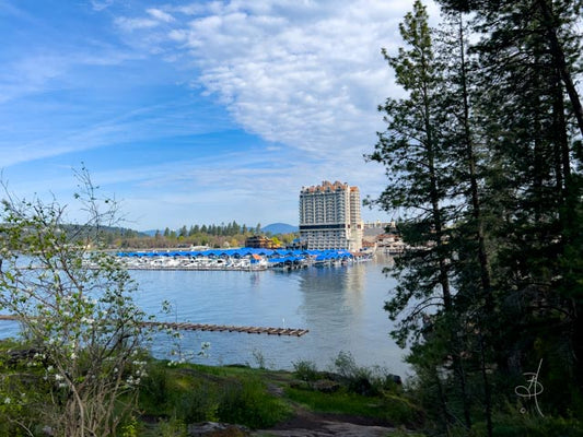 CDA Lake (8248)