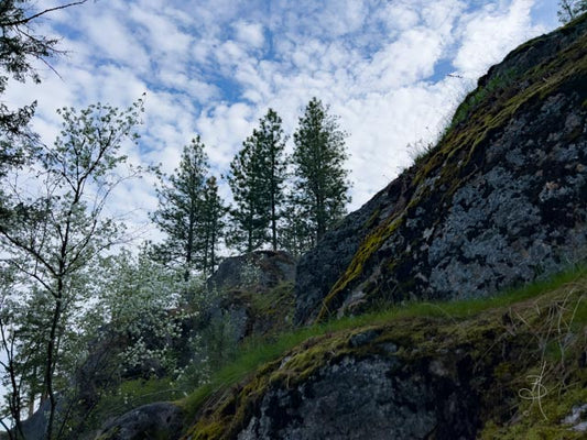 CDA Lake (8257)