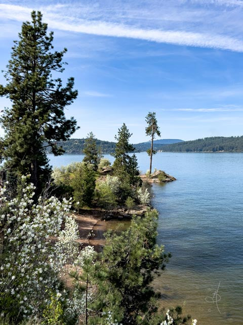 CDA Lake (8269)