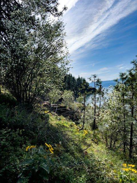 CDA Lake (8327)