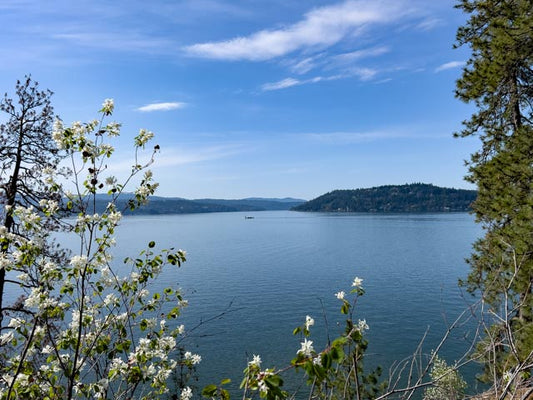 CDA Lake (8330)
