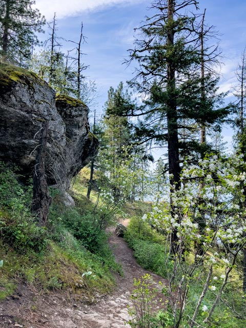 CDA Lake (8339)
