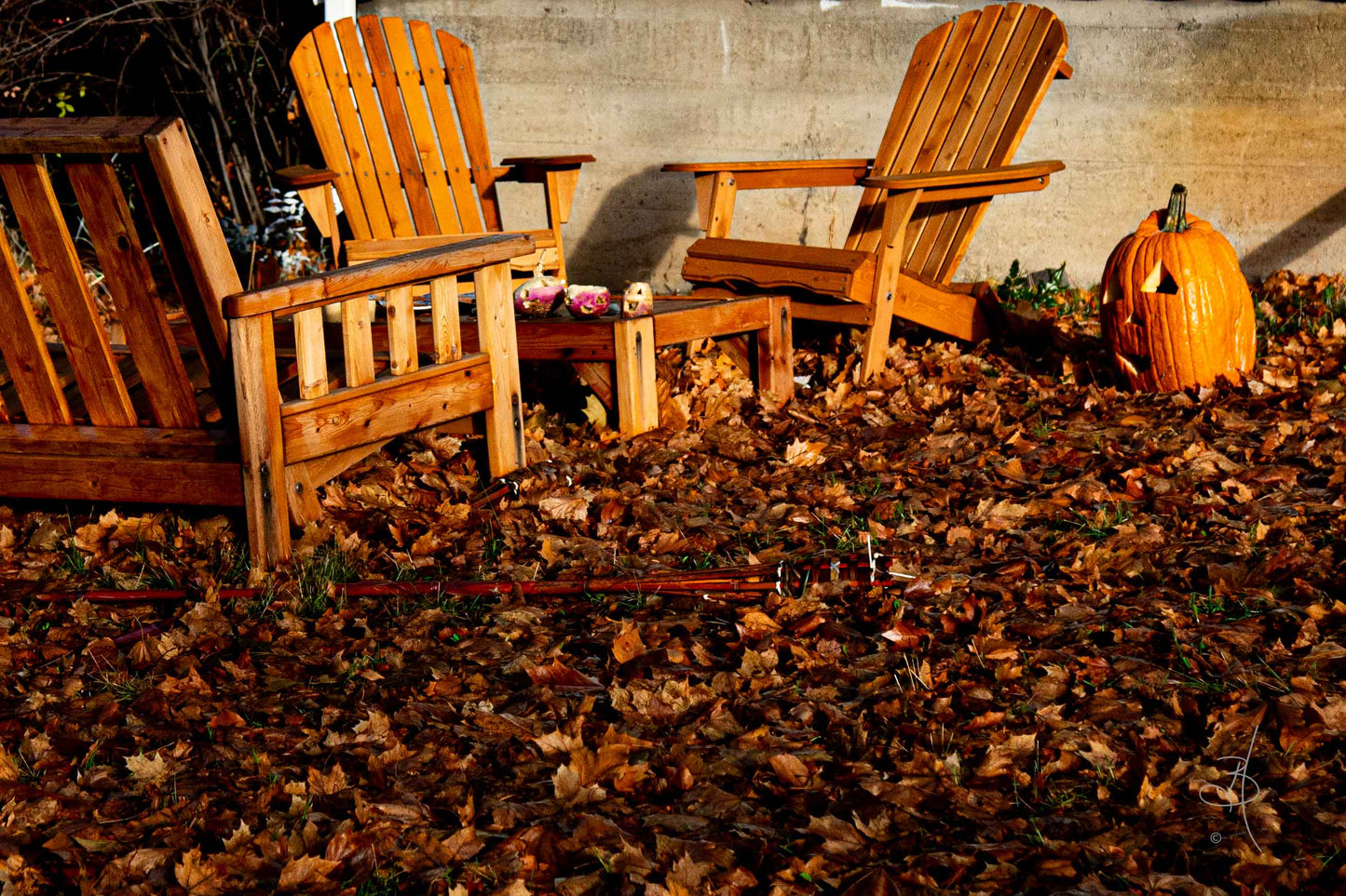 Haunted Remnants (8824)