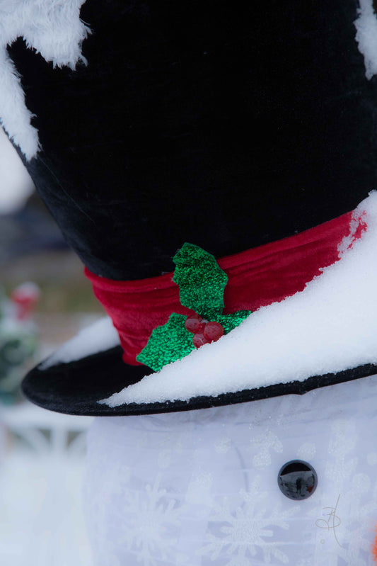 Frosty's Hat (9368)